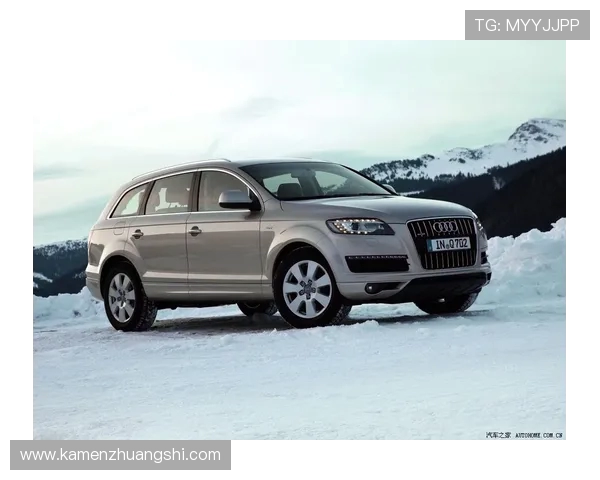 奥迪汽车公司赞助的德甲顶级球队盘点 奥迪汽车公司赞助的德甲顶级球队盘点